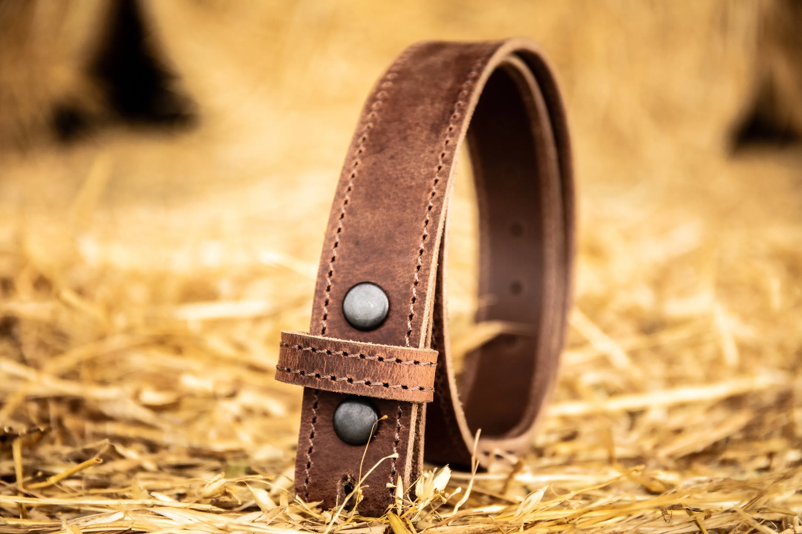 Camfield Belt