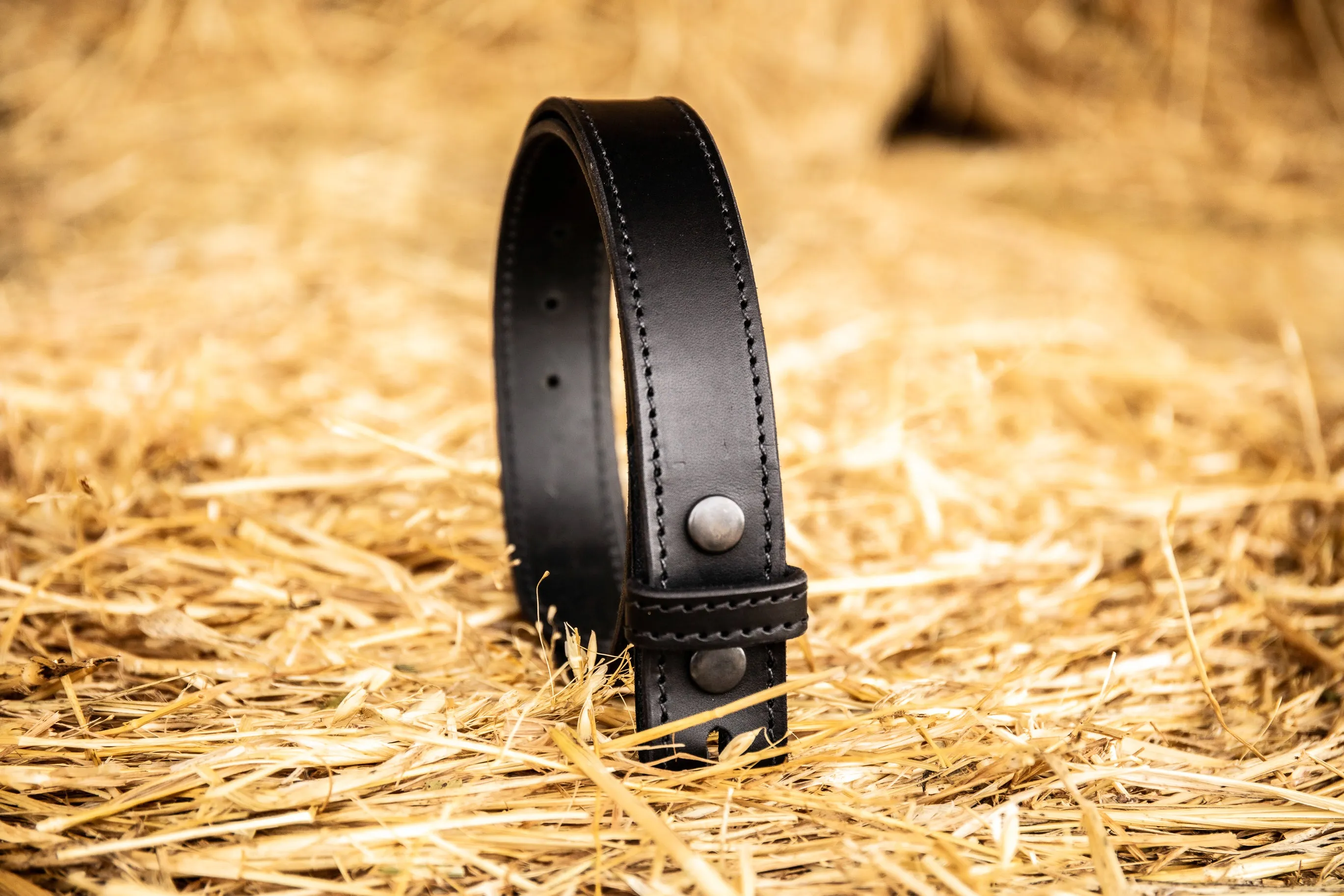 Camfield Belt