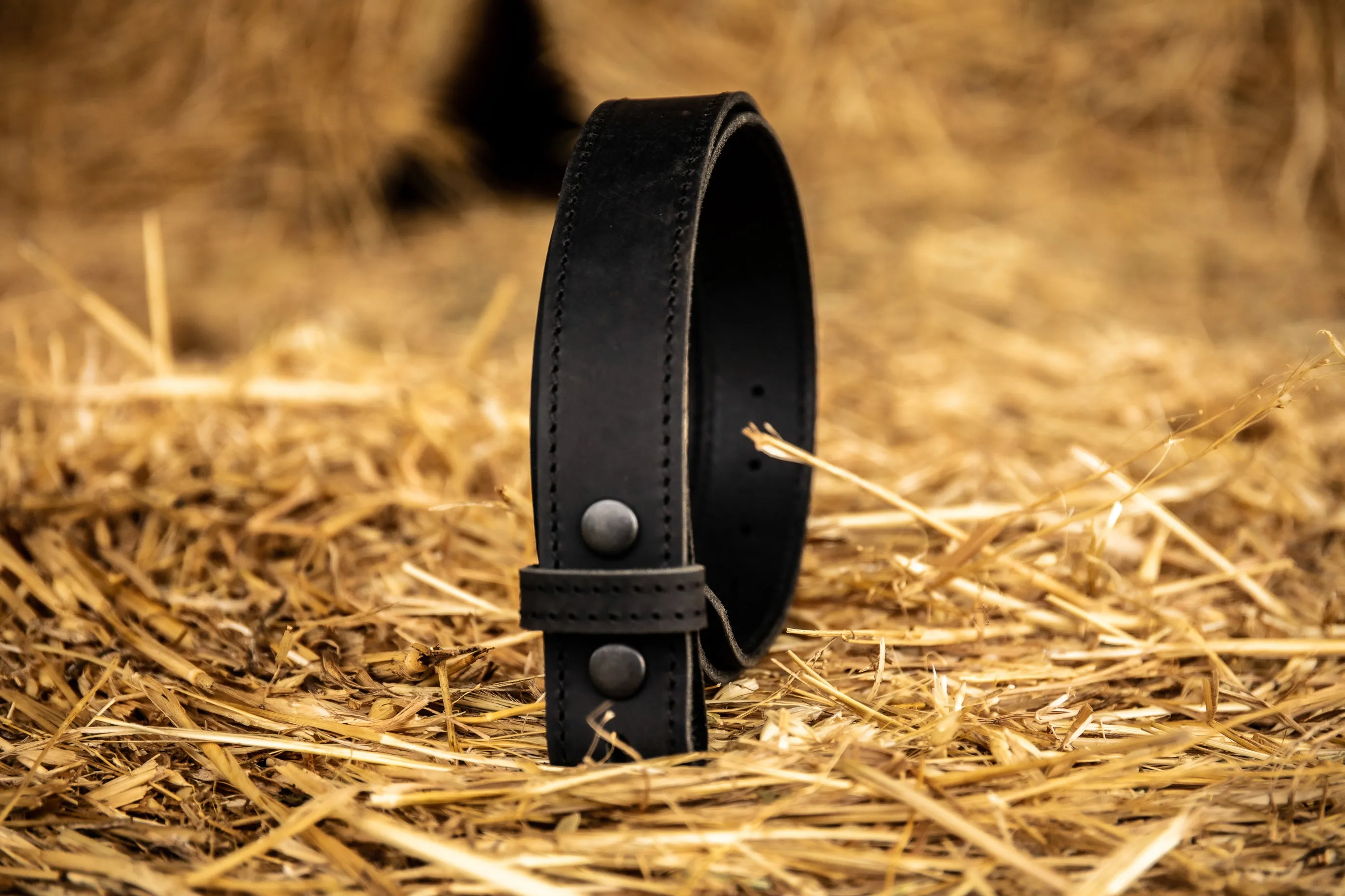 Camfield Belt