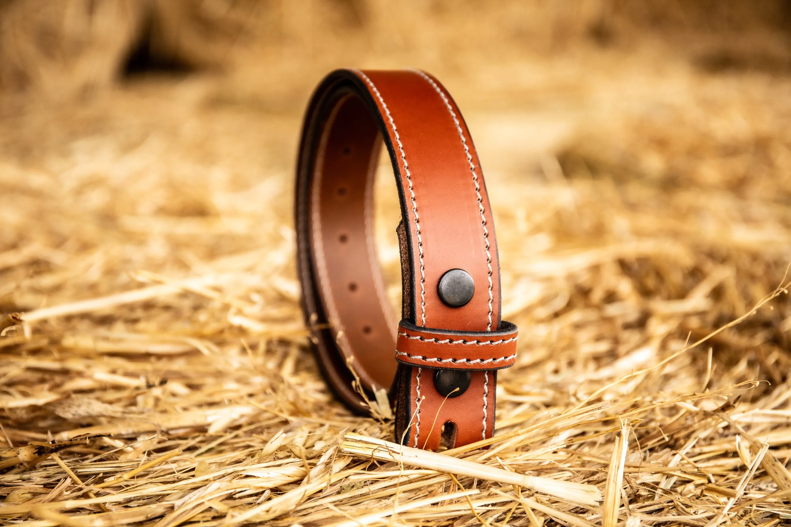 Camfield Belt