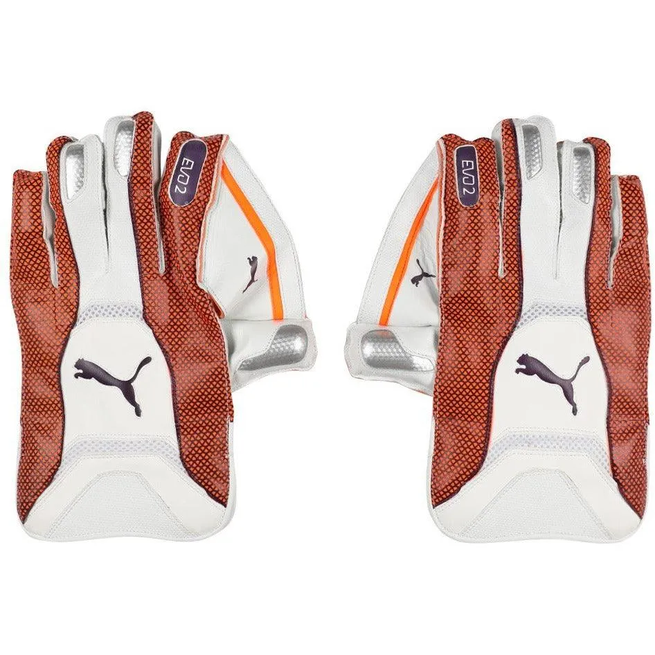 Puma EVO 2 WICKET KEEPER GLOVE