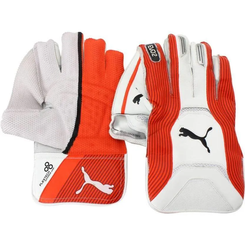 Puma EVO 2 WICKET KEEPER GLOVE